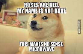Totally My Sense Of Humor And Poetry Lol Funny Poems Funny Memes Red Roses