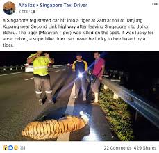 The heavily suburban/suburbanizing district covers an area of 1,063.97 km2 (410.80 sq mi) and has a population of 1.33 million. Facebook Post About S Pore Driver Hitting Killing Pregnant Malayan Tiger In Jb Is Not True Mothership Sg News From Singapore Asia And Around The World