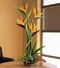 Maybe you would like to learn more about one of these? Florist Serving Ben F Brown S Memorial Funeral Home 707 N Macarthur Blvd Irving Tx 75061
