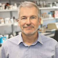 Nicolas Foley Email & Phone Number