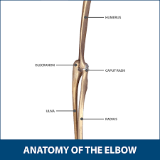 However, the bursa can become irritated or. Aspiration Of Olecranon Bursa Florida Orthopaedic Institute
