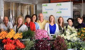 The fashion centre a, alexandria va 22301 phone number: About Us