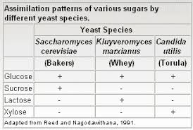 Maybe you would like to learn more about one of these? Yeast Products In The Feed Industry Engormix