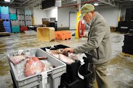 Maybe you would like to learn more about one of these? Harbor Fish The Maine Mag