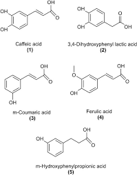 Convert malaysian ringgit (rm) to chinese yuan renminbi (rmb) using this free currency converter. Frontiers Short Chain C4 Esterification Increases Bioavailability Of Rosmarinic Acid And Its Potency To Inhibit Vascular Smooth Muscle Cell Proliferation Pharmacology