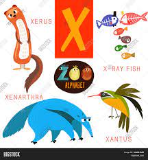We did not find results for: Cute Zoo Alphabet Vector Photo Free Trial Bigstock