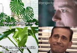 I feel much better now 🤣 🪴🌻🌼🪷🌾