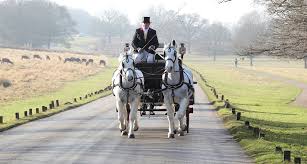 Scopri le nuove collezioni uomo, donna e bambino. Festive Carriage Rides Return To Richmond Park For Christmas The London Resident