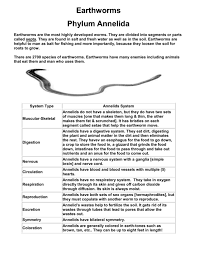 Earthworm Annelid Segmented Worm