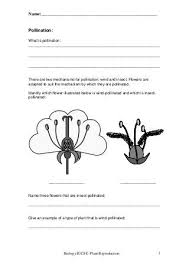 Plant Reproduction Worksheet Plants Worksheets Plant Science Worksheets