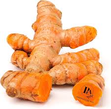 Image result for Afroligusticum runssoricum