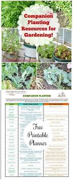 Aa Gardening And Fencing Worthing Amazon Gardening Bulbs Gardening Tips Diy Everywhere Vegetable Garden Planner Garden Companion Planting Companion Gardening