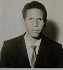 Historia Dominicana en Gráficas