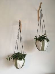 pin op plants