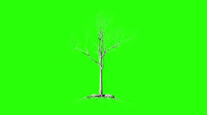 Check spelling or type a new query. 102 Roots Timelapse Stock Videos Royalty Free Roots Timelapse Footage Depositphotos