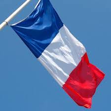 Gratis per usi commerciali attribuzione non richiesta senza copyright. Bandiera Della Francia 150 X 90 Cm Th3 Party 3 25 Https Shoppaclic Com Costumi 6790 Bandiera Della Francia 150 X Bandiera Della Francia Bandiera Francia