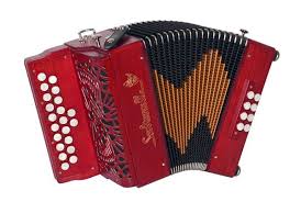 Accordeon Revise Accordeon Diatonique Accordeon Instrument De Musique
