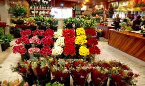 Kebudayaan di jakarta juga tak lepas dari pengaruh suku dan budaya dari luar, seperti belanda, cina, sunda, minang, dan batak. Tips Memilih Toko Bunga Terbaik Yang Ada Di Jakarta Tws Florist