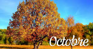 Que faire dans son jardin au mois d'octobre ? - Estragon.be
