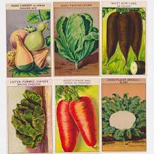 24 Vegetable Labels For Seed Packets By Simplyfrenchvintage Vegetable Seeds Packets Vintage Seed Packets Seed Packets