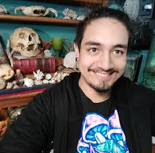 Hello again, How do people draw feathers, or make it look like feathers?  Any tips or tricks?