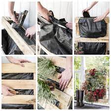 Des sphaignes, qui sont des mousses issues de zones marécageuses et qui absorbent l'eau, peuvent servir de substrat au mur végétal, formant un tapis dans lequel sont. 1001 Idees D Amenagement D Un Jardin Balcon Ou Terrasse Avec Un Mur Vegetal Exterieur Mur Vegetal Exterieur Mur Vegetal Palette Mur Vegetal