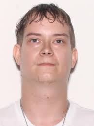 Sex Offenders near Hans Christian Andersen Elementary School