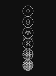 Flower Of Life Evolution Sacred Geometry White Lightweight Hoodie By Johnnet R Sacred Geometry Art Mandalas Sacred Geometry Tattoo Sacred Geometry Patterns