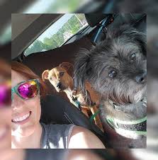 Awesome teacher gift only $4.XX a whopping 50% off! Fill it with snacks and  have a perfect 🎁!😎😎😎