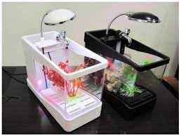 Lalu, sudahkah anda memelihara ikan hias kecil yang bisa bertahan lama? Jual Aquarium Mini Harga Paling Murah Recomended Seller 085641243336