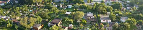 Im herzen der stadt lädt der botanische garten dresden dazu ein, die welt der pflanzen zu entdecken. Kleingartnerverein Stille Ecke E V Am Stadtrand Von Dresden In Niedersedlitz