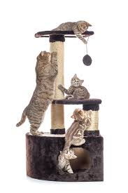 Credit cards, mortgages, commercial banking, auto loans, investing & retirement planning, checking and business banking. Home Luxury Cat Boarding In Irvine