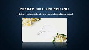 Banyak cara yang dilakukan kaum pria untuk menaklukan hati wanita terutama cara memikat wanita dengan berbagai amalan atau ritual salah yang menyalahi tuntunan syariat agama islam. Cara Menggunakan Bulu Perindu Untuk Memikat Hati Wanita At Flickr