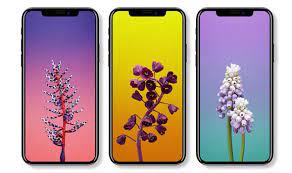 Then getting a carrier to unlock your iphone is a breeze certain things in lif. How Much Does It Cost To Unlock Iphone 7