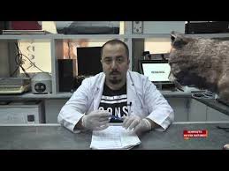 Kopeklerde Kene Nasil Temizlenir Youtube