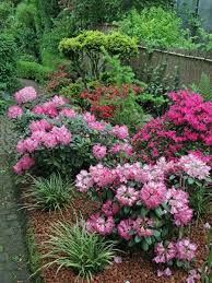 Stauden Fur Den Rhododendron Garten Little Garden Perennial Garden Small Garden Design