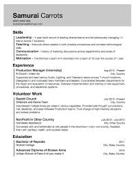 Resume With Little Work Experience But Skills Acquired Through Internship And Volunteering Resumes