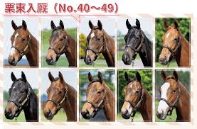 Check spelling or type a new query. 2020å¹´åº¦å‹Ÿé›†é¦¬ã®ç«¶èµ°é¦¬åãŒæ±ºå®š Part 2