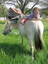 Der Buchseehof Bauernhofurlaub Familienausfluge Urlaub Reisen