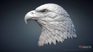 Bald Eagle Head Sculpture 3d Model Obj Stl Sculpting By Voronart In 2020 Bald Eagle Eagle Head Sculpture