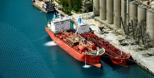 Image result for Tan 2025 Fleet