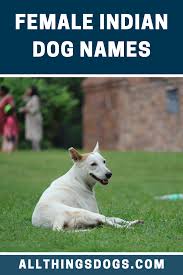 It makes a lot of sense, and in consequence, it's one of the best red dog names that you can choose. Female Indian Dog Names Female Dog Names Dog Names Puppies Names Female
