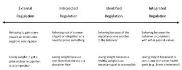 Pe1 physical fitness and self testing activity cn 6006. Self Determination Theory Its Application To Health Behavior And Complementarity With Motivational Interviewing International Journal Of Behavioral Nutrition And Physical Activity Full Text