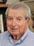 Louis Stark Obituary (2011)