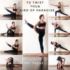 I Am Going To Try This When I M Able To Yoga For Core Yoga Help Twist Yoga Bird Of Paradise Yoga