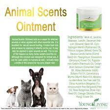 Pin On Essential Oils