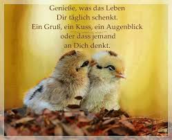 Das Leben Ist Schon Aufmunternde Spruche Lebensweisheiten Spruche Weisheiten Spruche