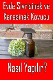 Evde Sivrisinek Karasinek Kovucu Sprey Nasil Yapilir Evde Nasil Yapilir Dogal Sifali Otlar Dogal Saglik