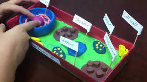 Animal cell project play doh. 5th Grade Plant Cell Project Youtube