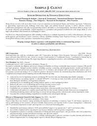 Financial analyst job description guide. Senior Operating And Finance Executive Resume